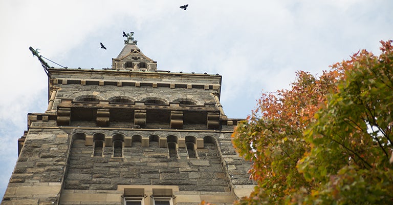 Healy Hall in the autumn