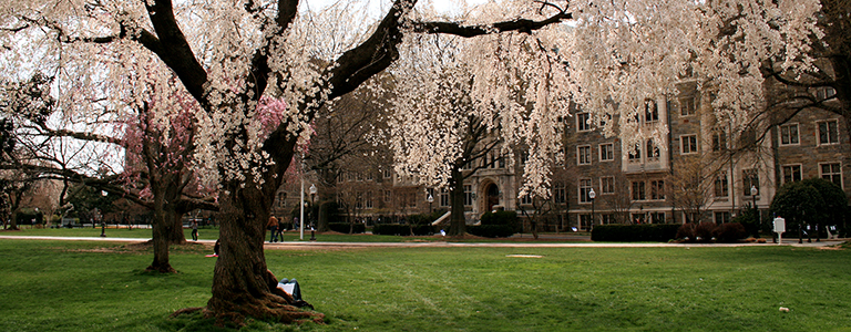 Admissions | Georgetown College | Georgetown University