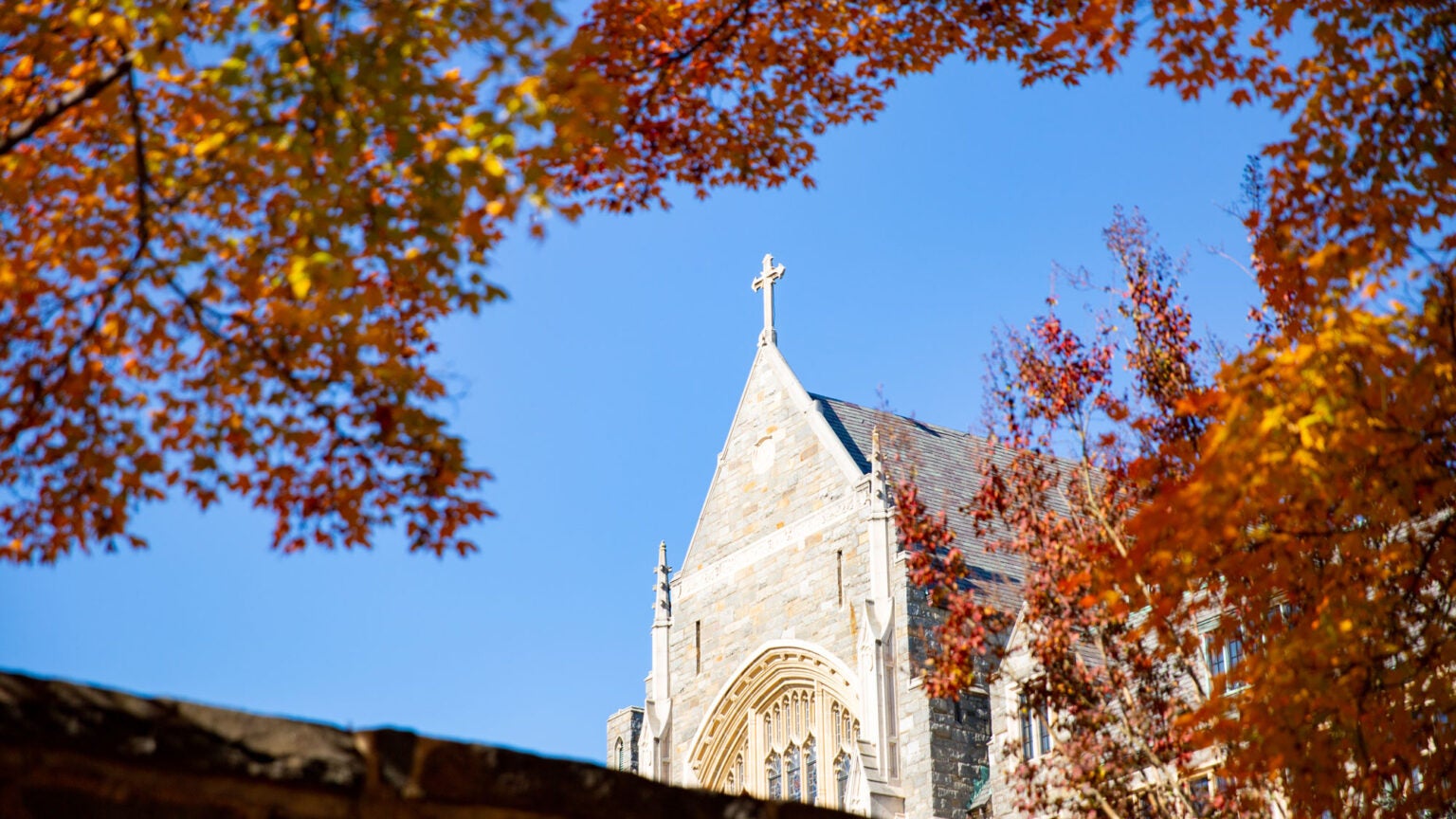 Nicoletta Pireddu Wins Comparative Literature's Most Prestigious Award College of Arts & Sciences