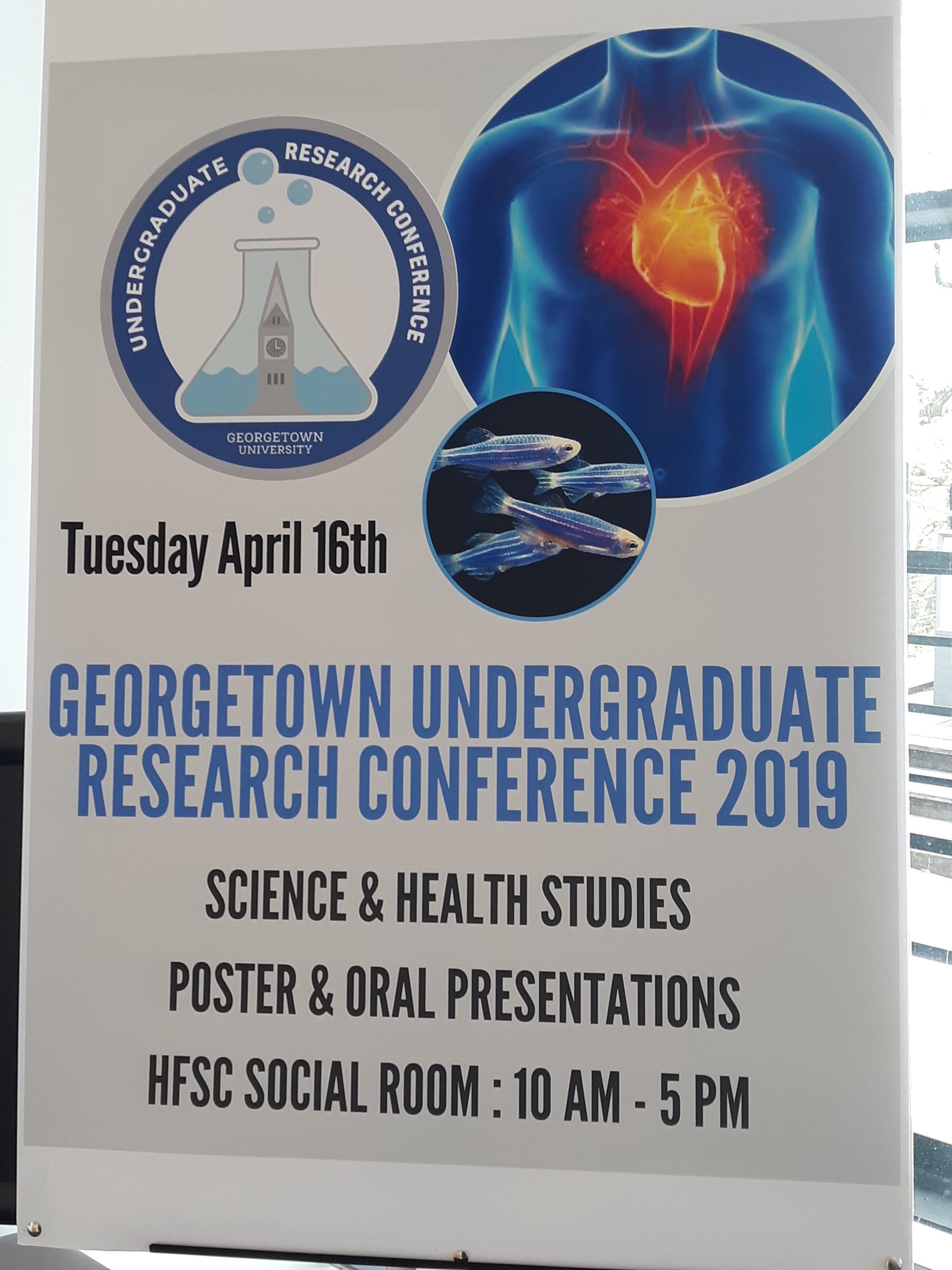 georgetown undergraduate research opportunities