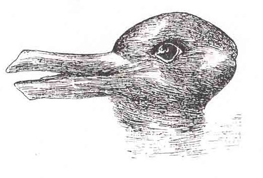 An illustration which appears as either a duck or a rabbit to the viewer. 