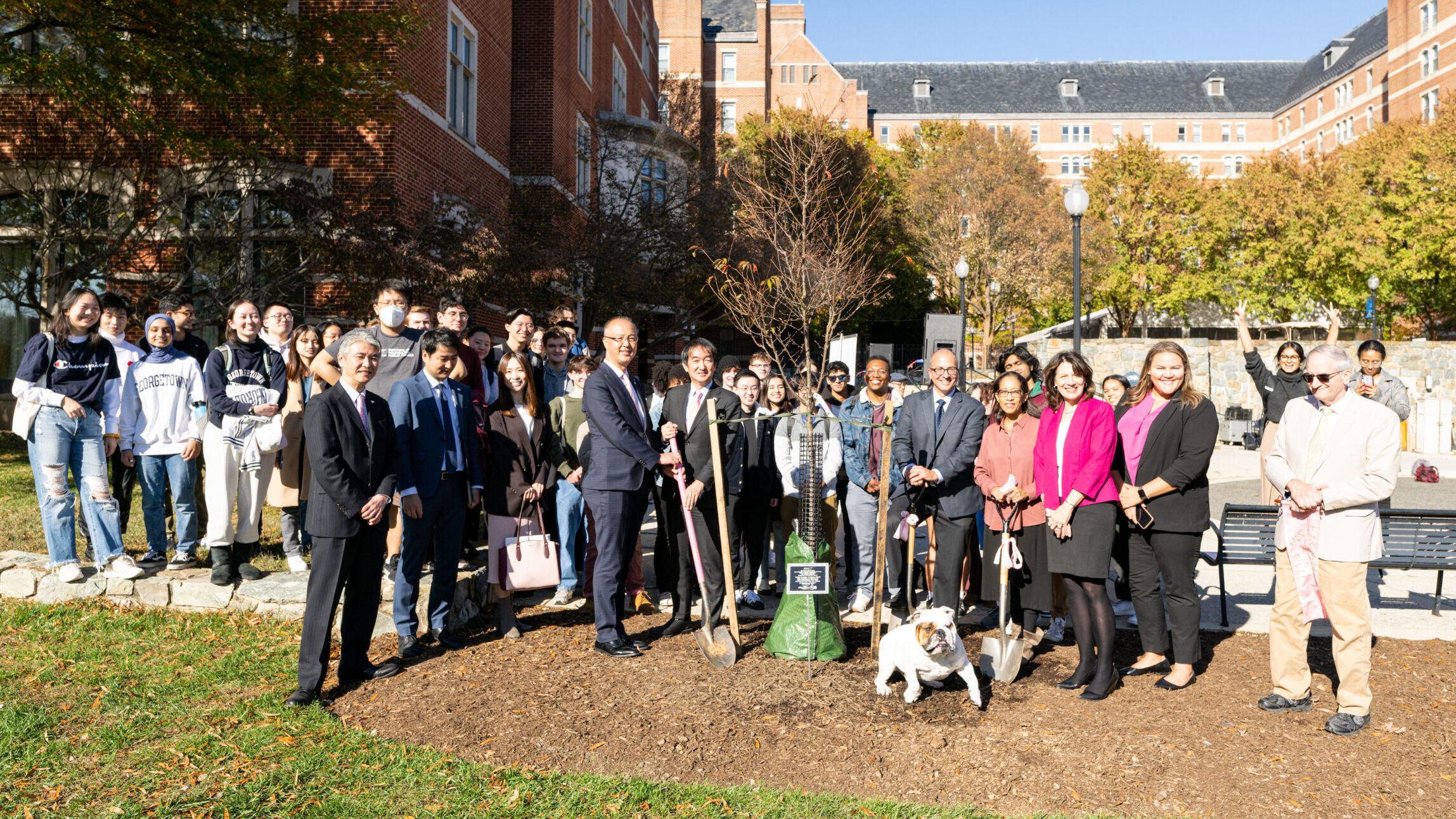 A crowd of people stands with shovels next to a newly-planted tree.