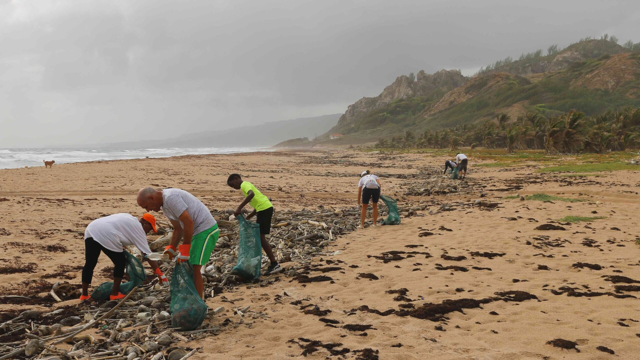 Five individuals collect trash on the beach, putting it into green plastic bags.