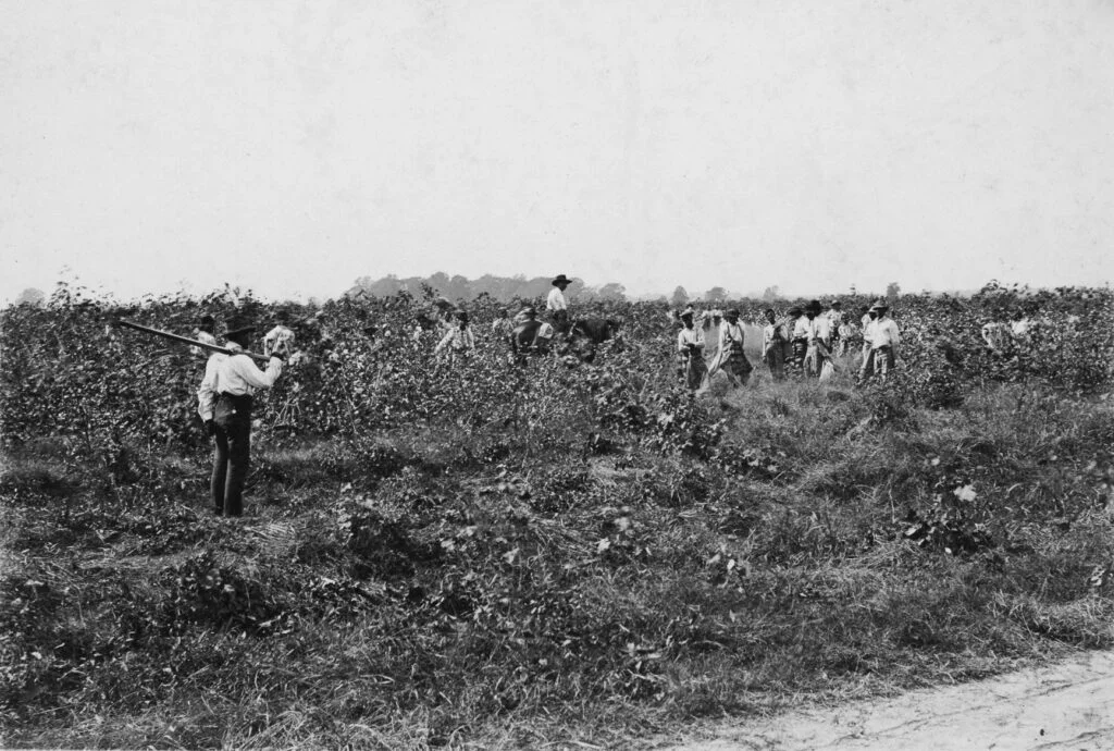 A group of prisoners in white tops and dark breeches toils in a nondescript field. 