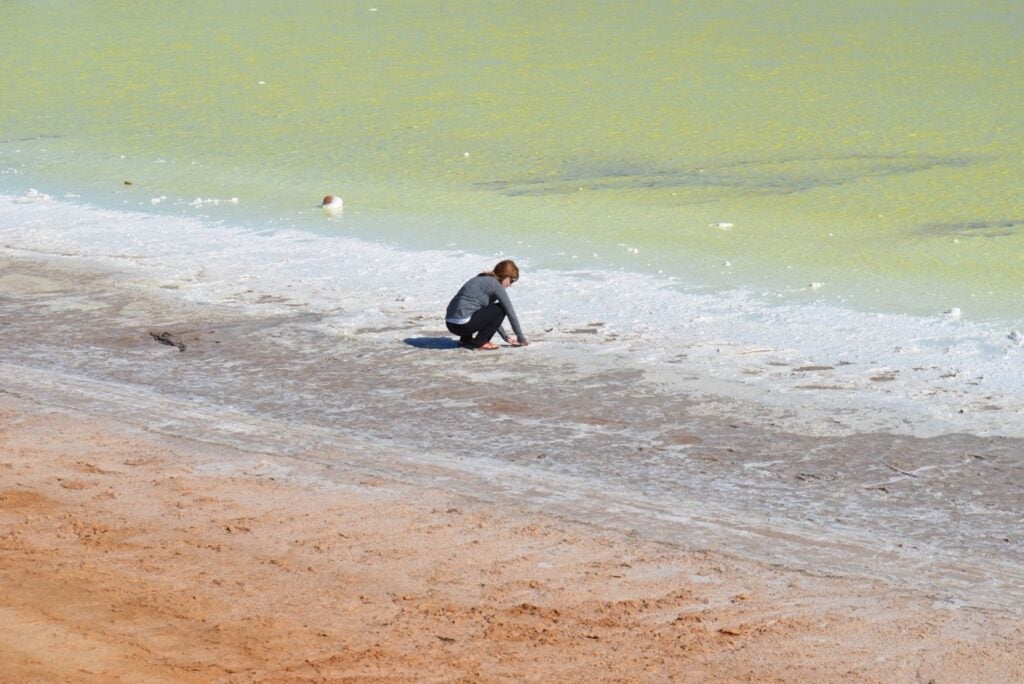 A woman crouches in a field of salt. The salt is layered and forms three colors: green, silver, and orange. 