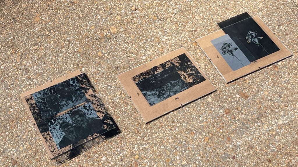 Three photos lay on gray concrete. The photos depict flowers in tones of blue and black.