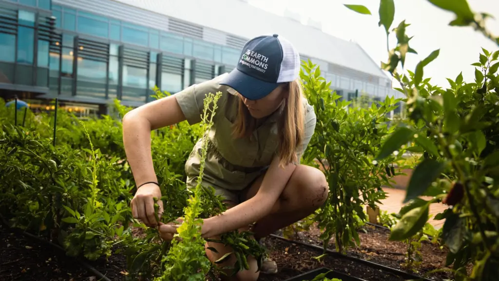 A girl in a green dress kneels to weed in a garden. She wears a ball cap. 