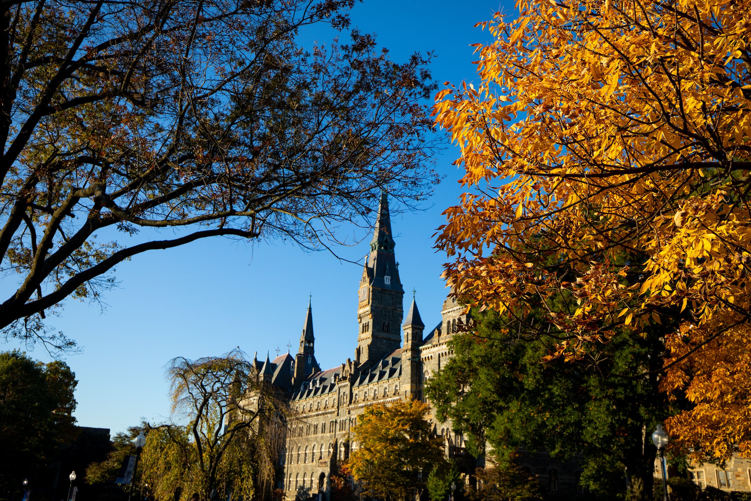 Healy Hall at sunrise with autumn trees in the foreground